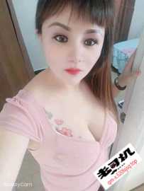 龙岗杨美小野猫